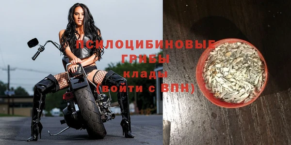 прущая мука Коряжма