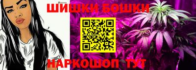 спиды Аргун