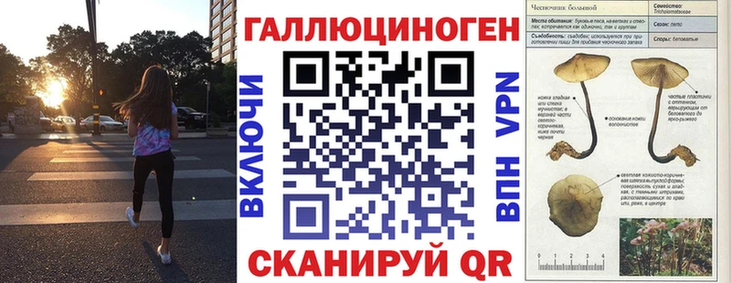 Псилоцибиновые грибы GOLDEN TEACHER  Дубна 