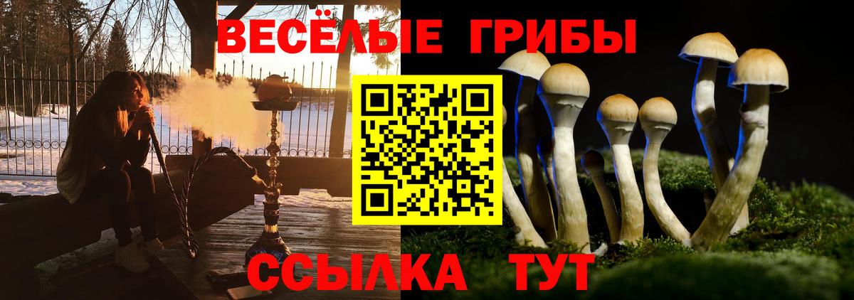 Галлюциногенные грибы Psilocybe  Галлюциногенные грибы мицелий  Вход с VPN  Дубна 