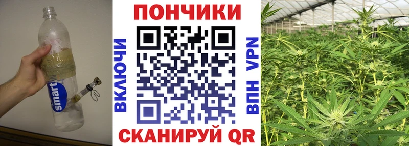 Каннабис сатива  наркошоп  Дубна 